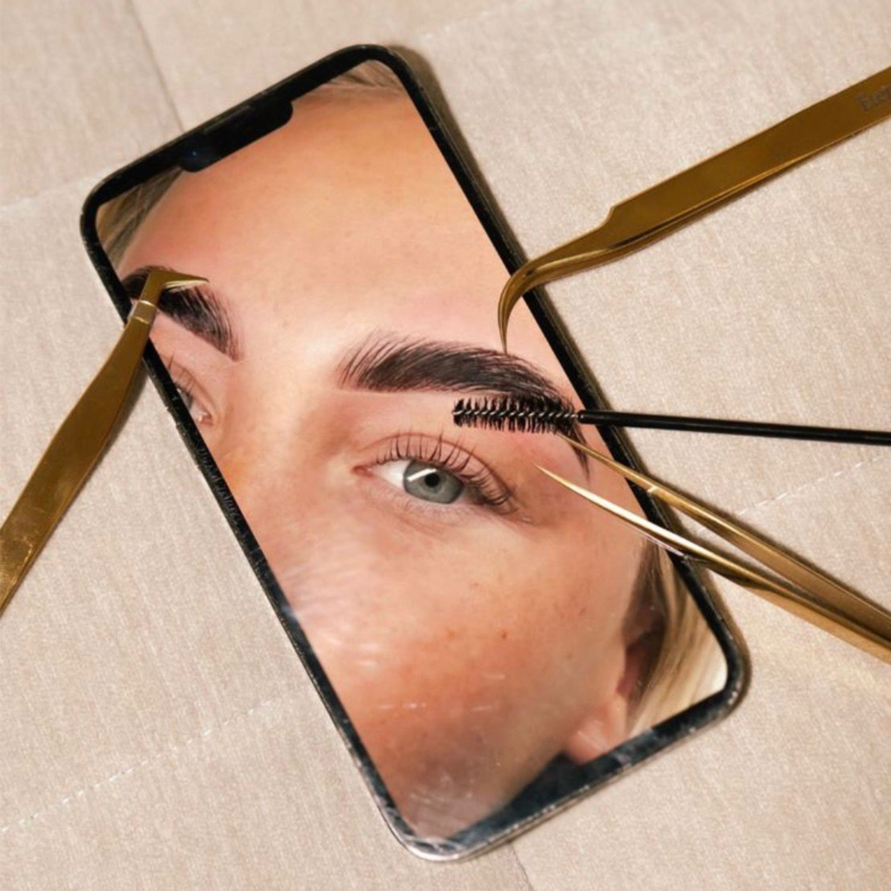 Pack Formation Expert Regard Complet